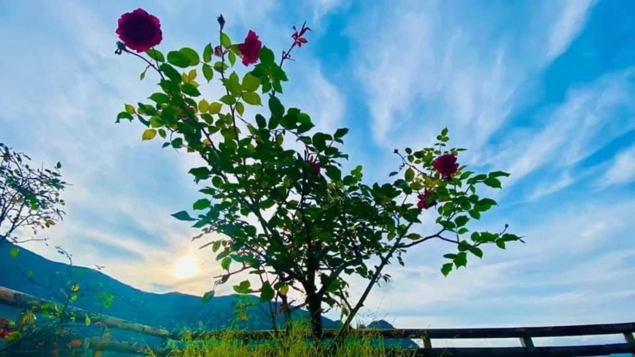 Ha Lu Homestay لاو كاي المظهر الخارجي الصورة