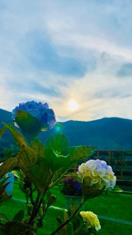 Ha Lu Homestay لاو كاي المظهر الخارجي الصورة